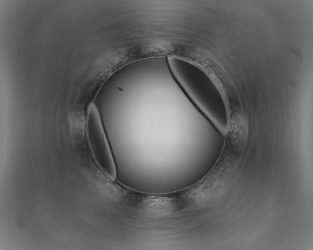 X0000112520617200908171356