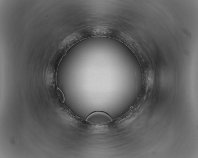 X0000112520619200908171356