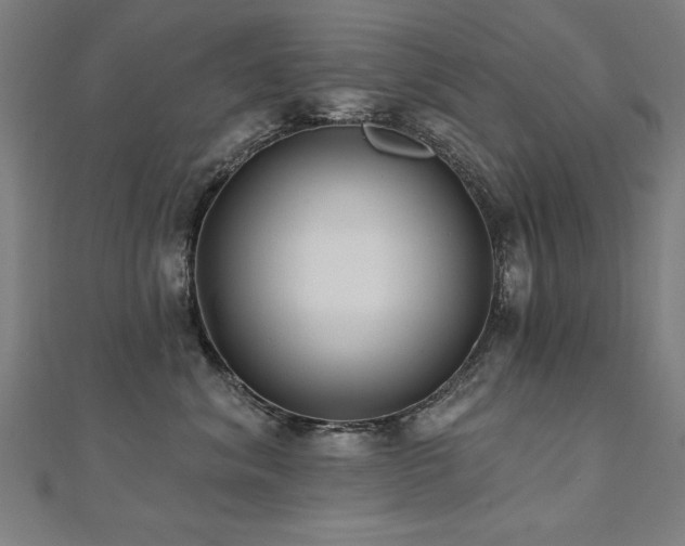 X0000112520620200908171356
