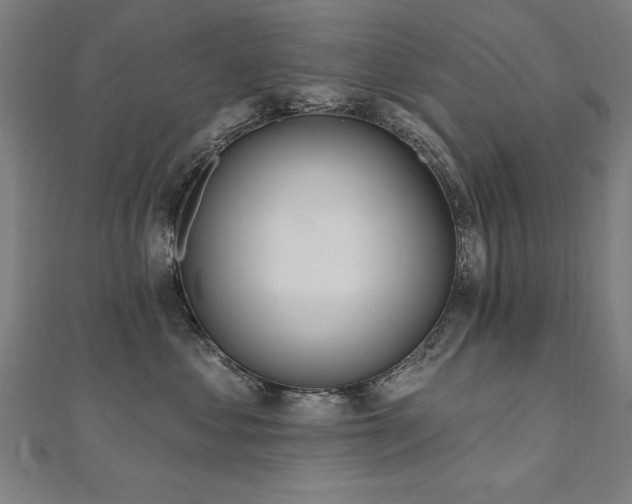 X0000112520621200908171356