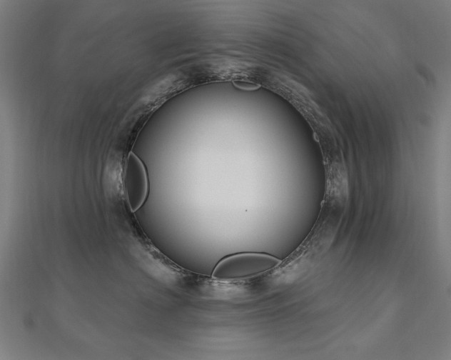 X0000112520622200908171356