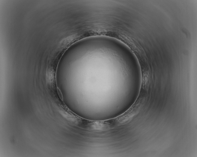X0000112520623200908171356