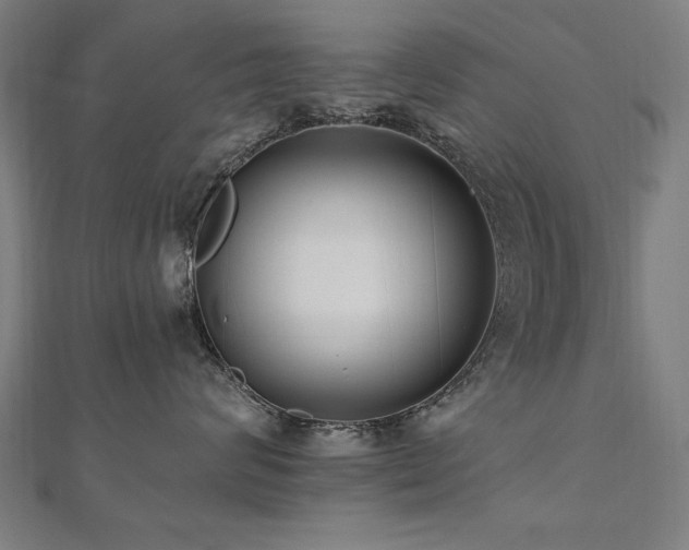 X0000112520624200908171356