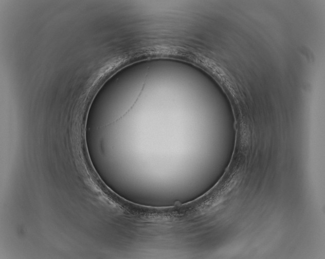 X0000112520625200908171355