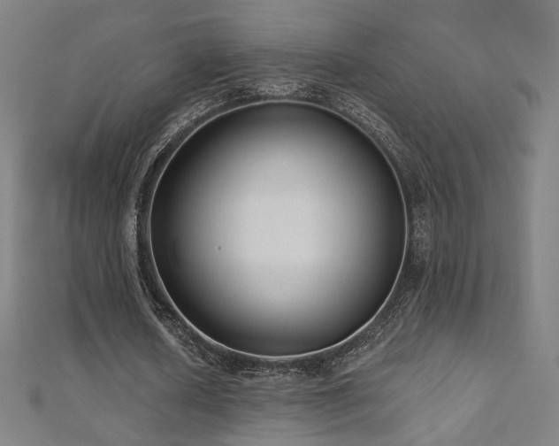 X0000112520626200908171355