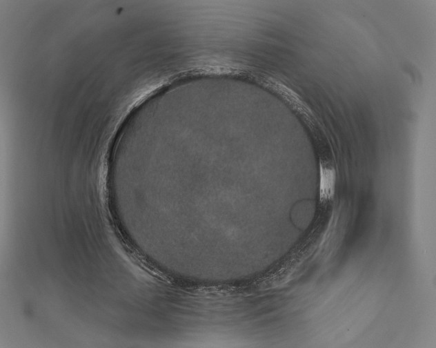 X0000112520627200908171355