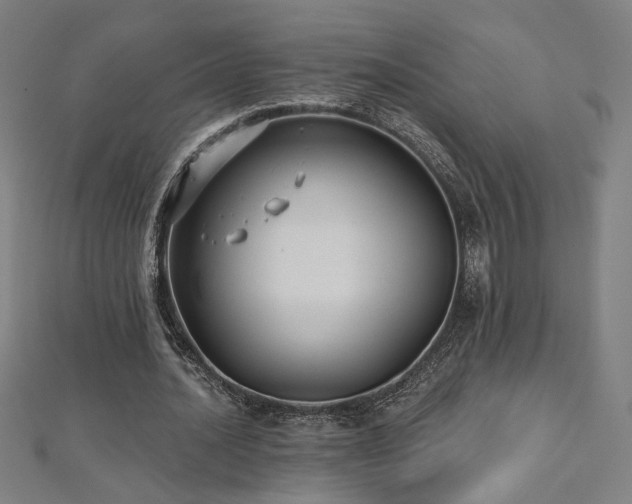 X0000112520628200908171355