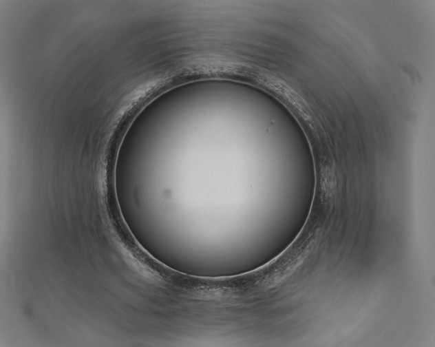 X0000112520629200908171355