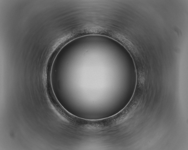 X0000112520630200908171355