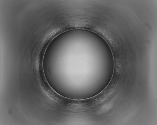 X0000112520631200908171355