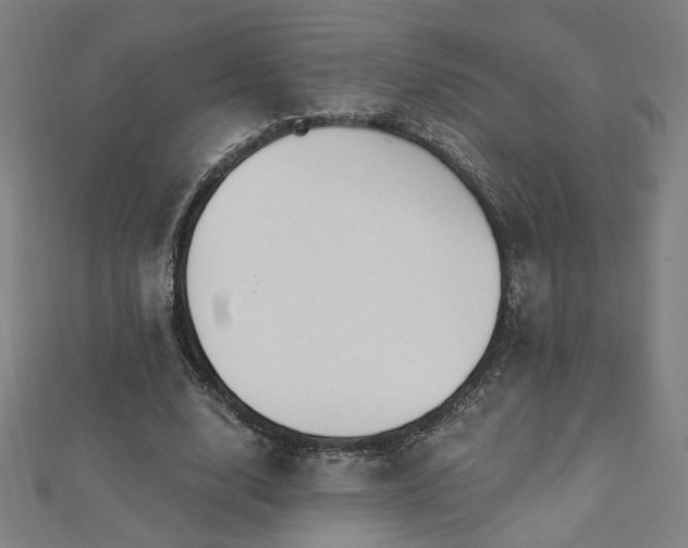 X0000112520632200908171355