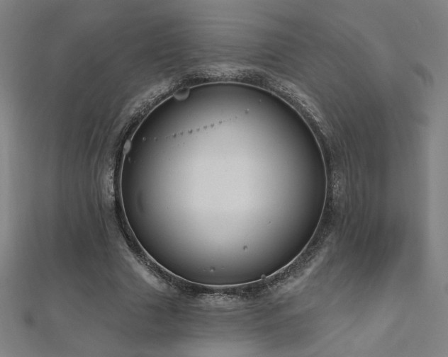 X0000112520633200908171355