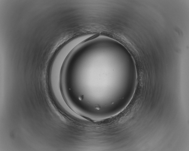 X0000112520634200908171355