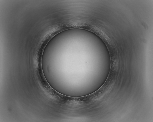 X0000112520635200908171355