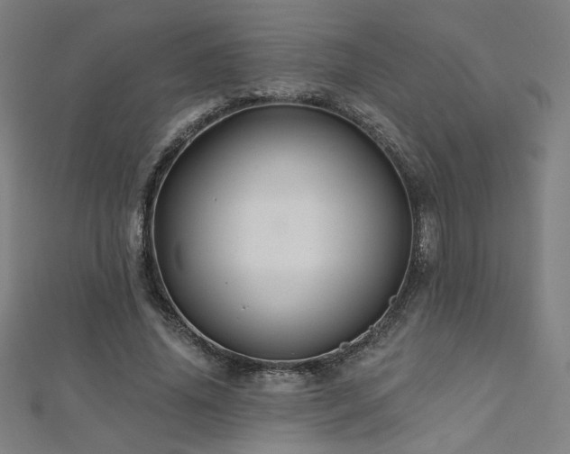 X0000112520636200908171355