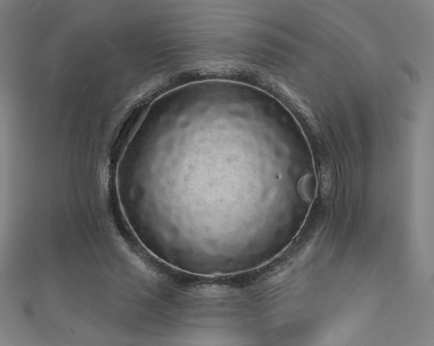 X0000112520637200908171355
