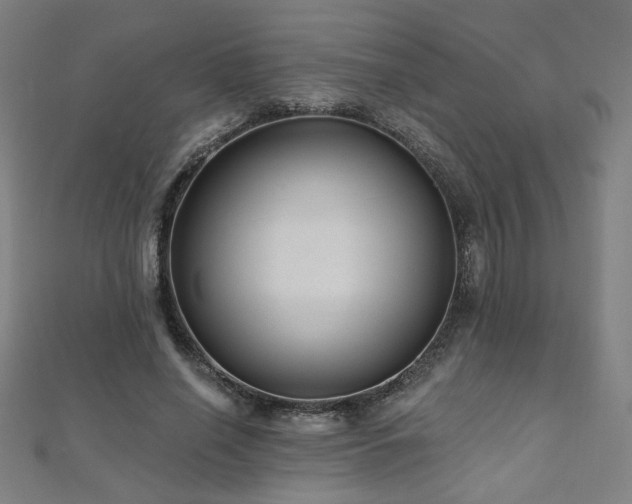 X0000112520638200908171355