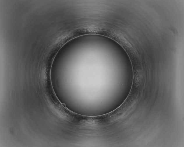 X0000112520639200908171355