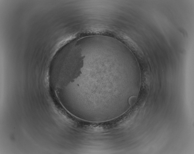 X0000112520640200908171355