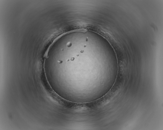 X0000112520642200908171355