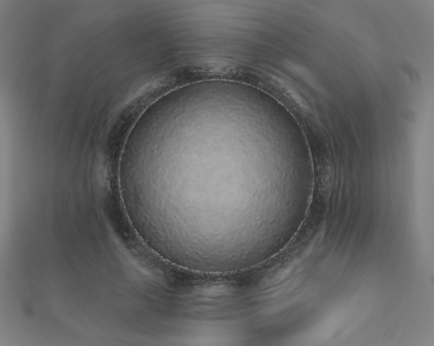 X0000112520643200908171355