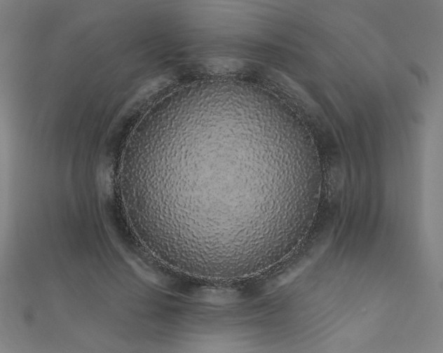 X0000112520644200908171355