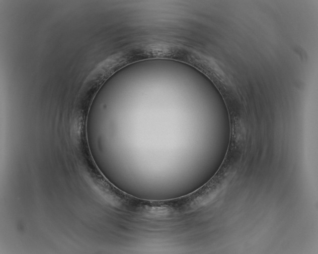 X0000112520645200908171355