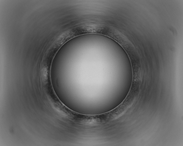 X0000112520646200908171355