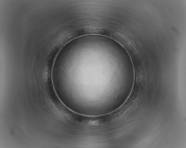 X0000112520647200908171355