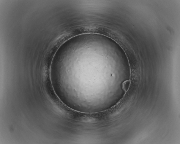 X0000112520648200908171355