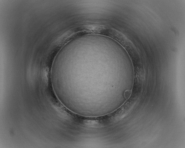 X0000112520649200908171355