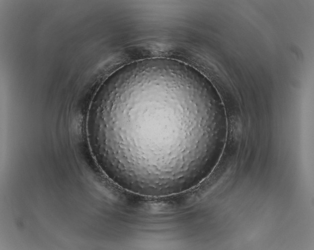 X0000112520650200908171355