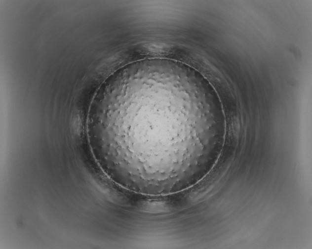X0000112520651200908171355