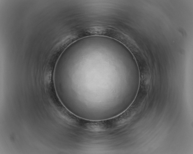 X0000112520652200908171355