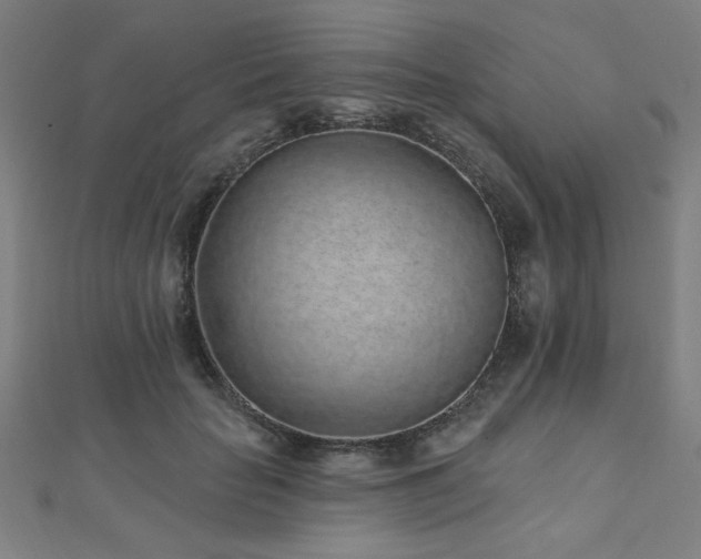 X0000112520653200908171355
