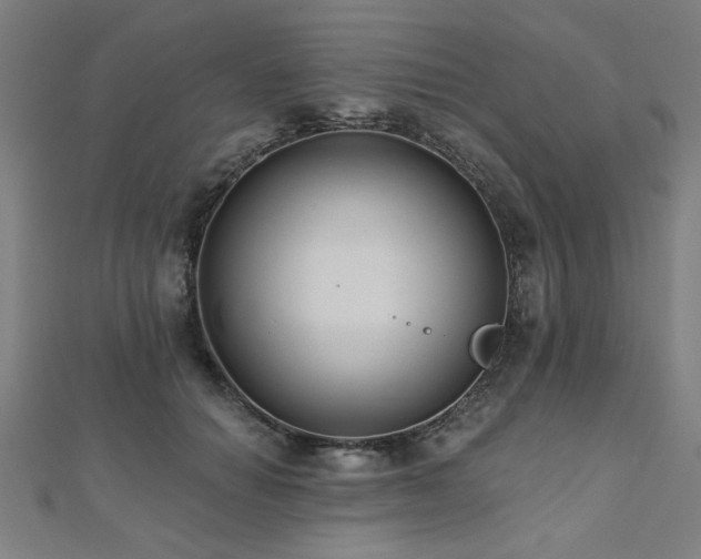 X0000112520654200908171355