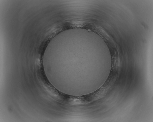X0000112520655200908171355