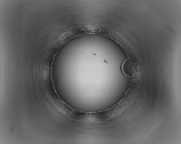X0000112520656200908171355