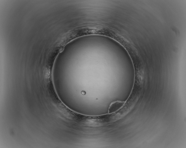 X0000112520657200908171355