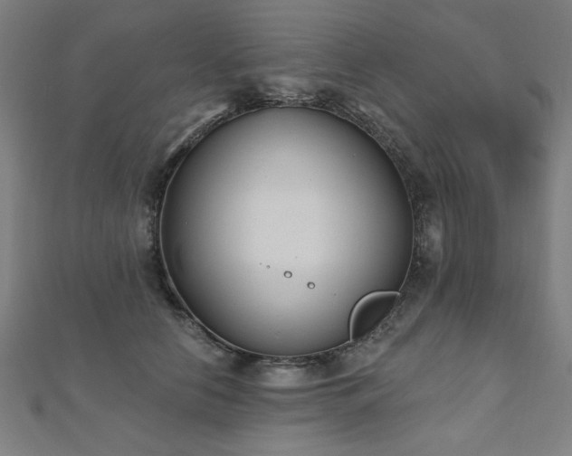 X0000112520658200908171355