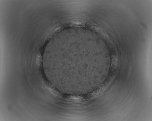 X0000112520659200908171355