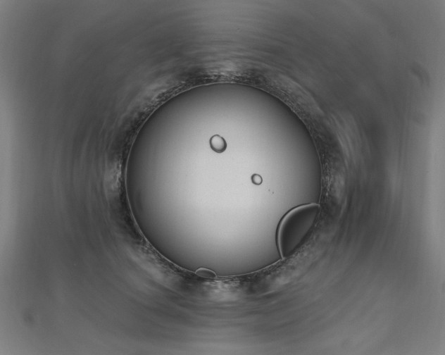 X0000112520660200908171355