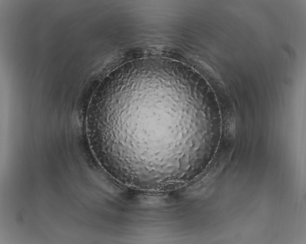 X0000112520661200908171355