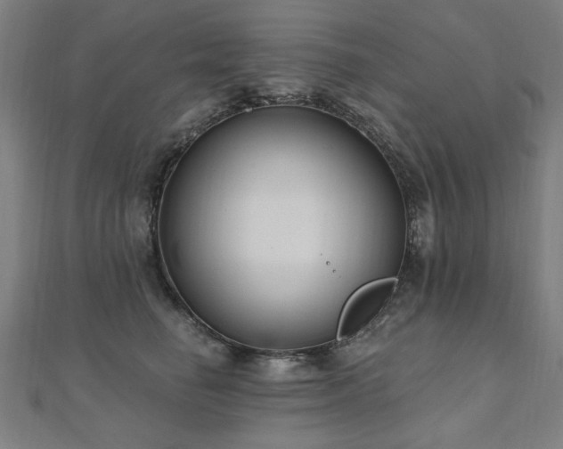 X0000112520662200908171355