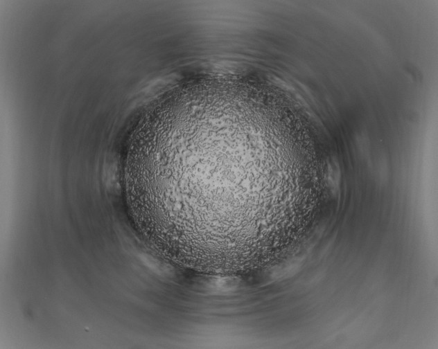 X0000112520663200908171355