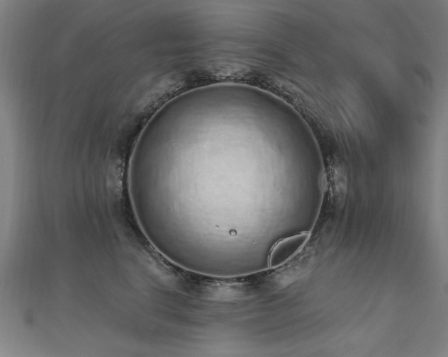 X0000112520664200908171355