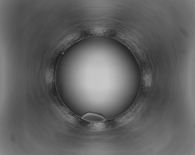 X0000112520665200908171356