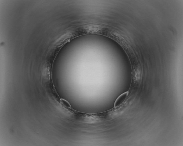 X0000112520666200908171356