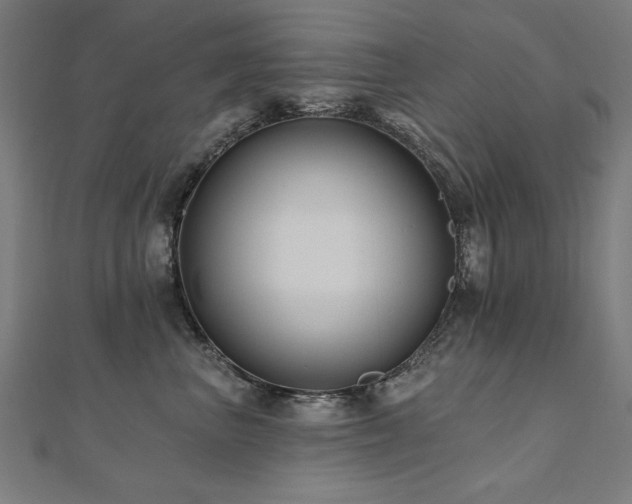 X0000112520667200908171356