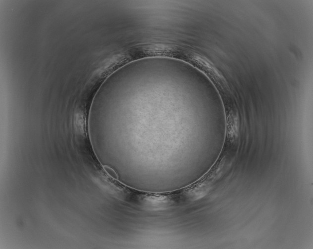 X0000112520669200908171356